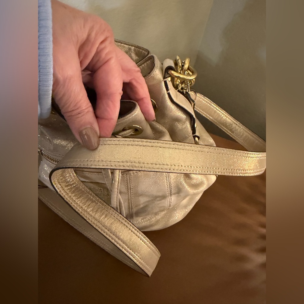 Coach Metallic Beige Poppy Shoulder Bag with Gold Hardware - Picture 5 of 16